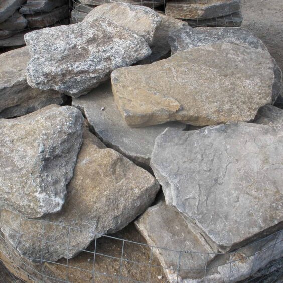 FGMFR-Boston-Blend-Flagging FGMFR-Boston-Blend-Flagging