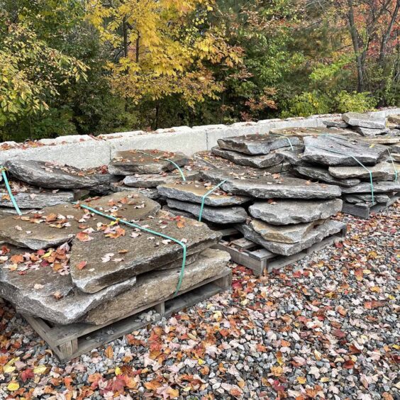 FGMFR-Boston-Blend-Flagging-LRG-PLT-IMG2168 FGMFR-Boston-Blend-Flagging-LRG-PLT-IMG2168