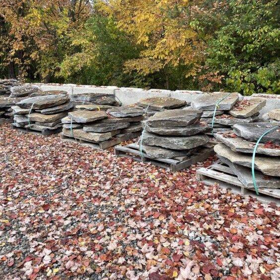 FGMFR-Boston-Blend-Flagging-PLT-IMG2167 FGMFR-Boston-Blend-Flagging-PLT-IMG2167