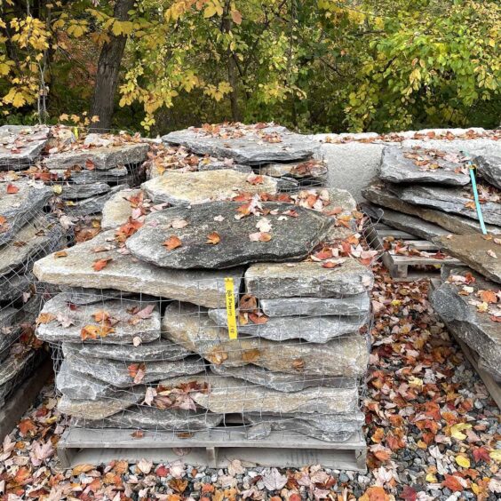 FGMFR-Boston-Blend-Flagging-PLT-IMG2169 FGMFR-Boston-Blend-Flagging-PLT-IMG2169