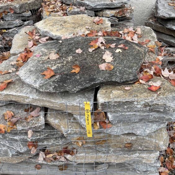 FGMFR-Boston-Blend-Flagging-PLT-IMG2170 FGMFR-Boston-Blend-Flagging-PLT-IMG2170