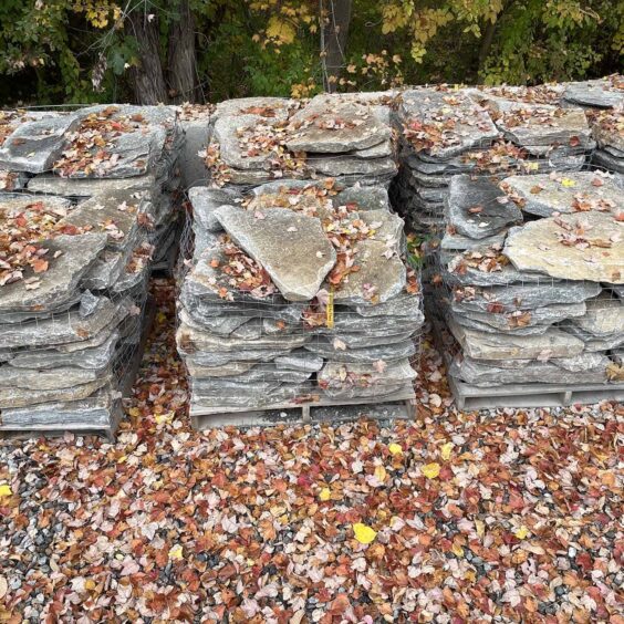 FGMFR-Boston-Blend-Flagging-PLT-IMG2174 FGMFR-Boston-Blend-Flagging-PLT-IMG2174