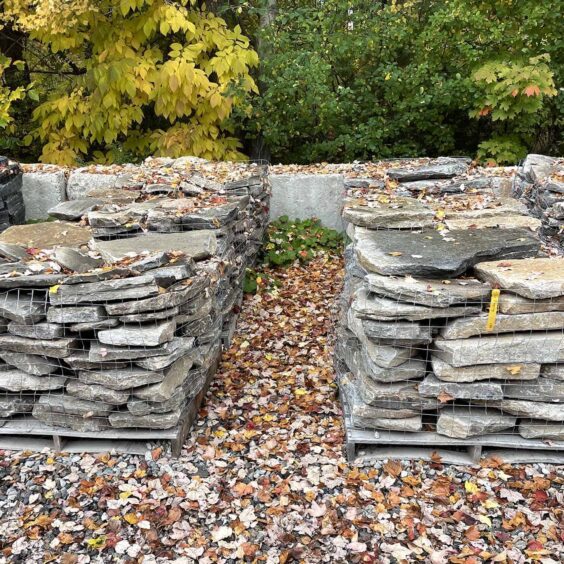 FGMFR-Boston-Blend-Flagging-PLT-IMG2175 FGMFR-Boston-Blend-Flagging-PLT-IMG2175