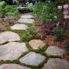 FGMFR-Boston-Blend-Flagging-Pathway-Beauty