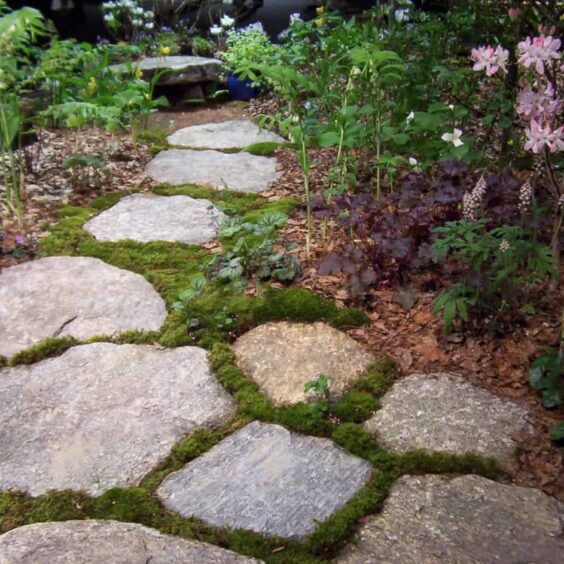 FGMFR-Boston-Blend-Flagging-Pathway-Beauty FGMFR-Boston-Blend-Flagging-Pathway-Beauty