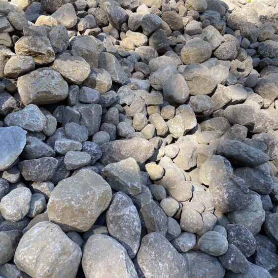 WSDFSR-Boston-Blend-Round-Reg-Wallstone-Bulk-IMG2150 WSDFSR-Boston-Blend-Round-Reg-Wallstone-Bulk-IMG2150