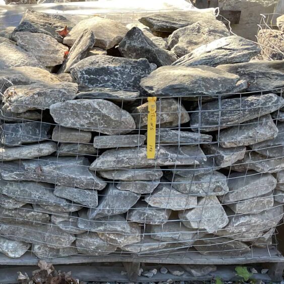 WSFFNT-Boston-Blend-Flat-Thin-Wallstone-PLT-IMG2146 WSFFNT-Boston-Blend-Flat-Thin-Wallstone-PLT-IMG2146