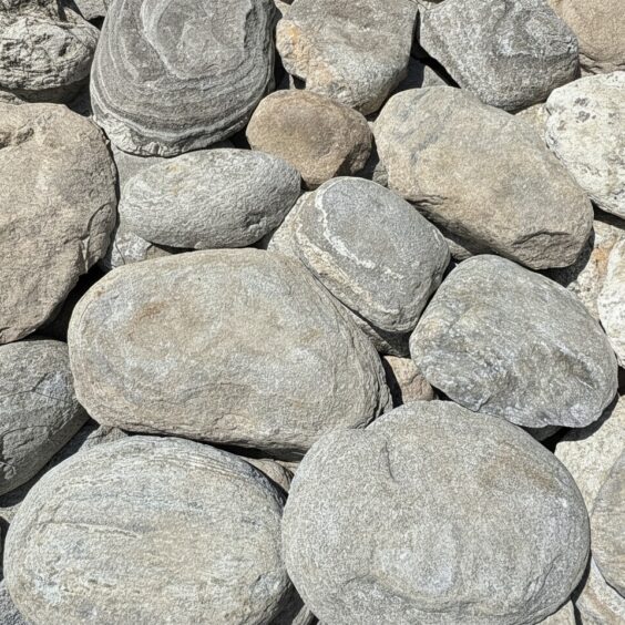 Rockport Round Thin Stone Veneer Flats — Close-Up Detailed close-up of Stoneyard's Rockport Round thin stone veneer — rounded New England fieldstone in muted grays and warm tans, ideal for accent walls, fireplaces, and chimney veneer.
