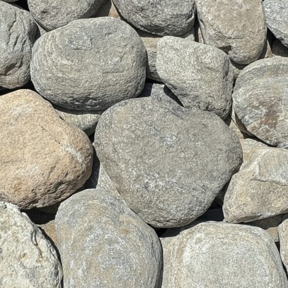 Rockport Round Thin Stone Veneer Flats — Detail Tight detail of Stoneyard's Rockport Round thin stone veneer flats — rounded fieldstone in a natural gray-and-tan palette, hand-selected from New England quarries since 1985.